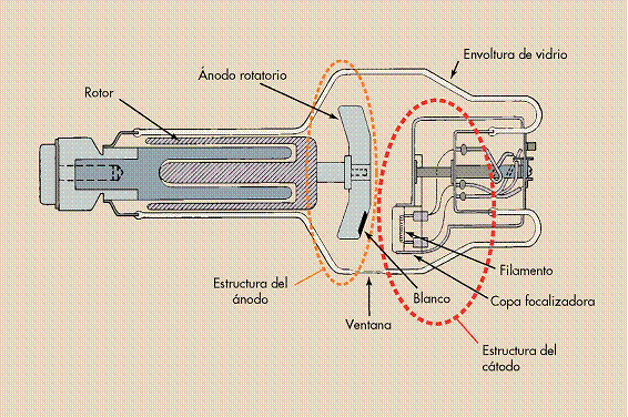 Diagrama esquemático de un tubo de rayos X con ánodo rotatorio