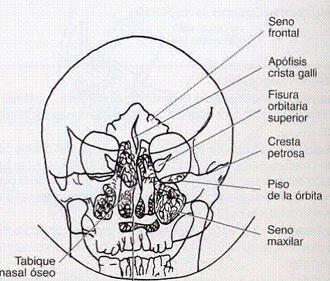 Posicionamiento Caldwell